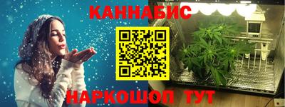 Альфа ПВП Аргун